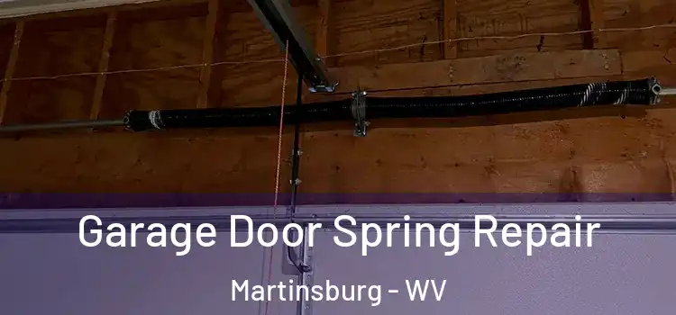  Garage Door Spring Repair Martinsburg - WV