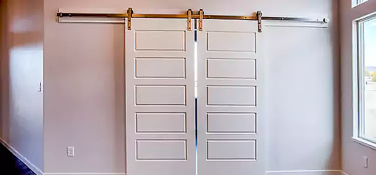 Glass Barn Door with Installation Hardware Kit Martinsburg
