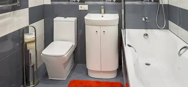 Hansgrohe Shaving Mirror Martinsburg