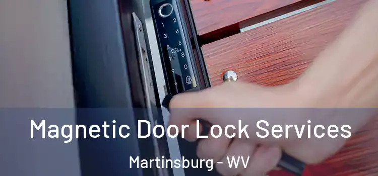 Magnetic Door Lock Services Martinsburg - WV